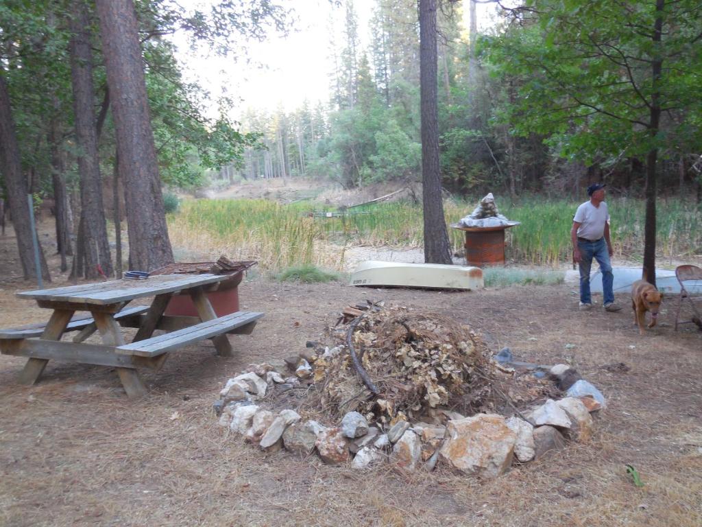 fire pit and seating