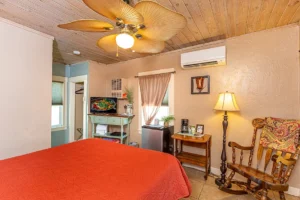 bedroom with queen bed and television
