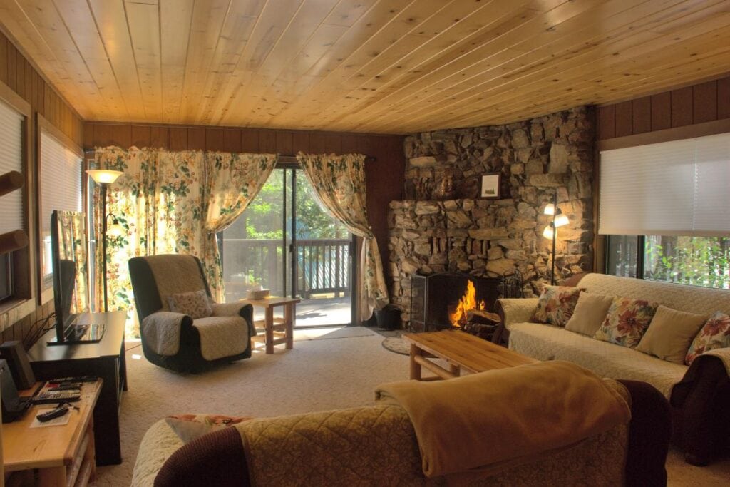 living room with stone fireplace and couches