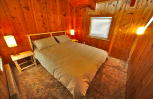 bedroom with wood walls and queen bed