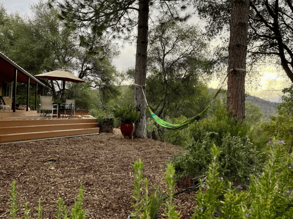 backyard hammock