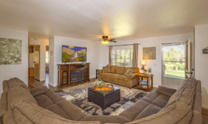 living room with sectional, television, and fireplace