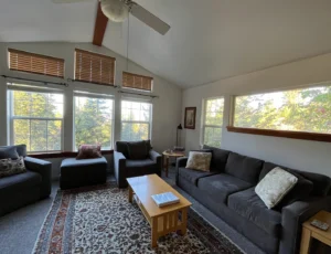 living room with couches and television