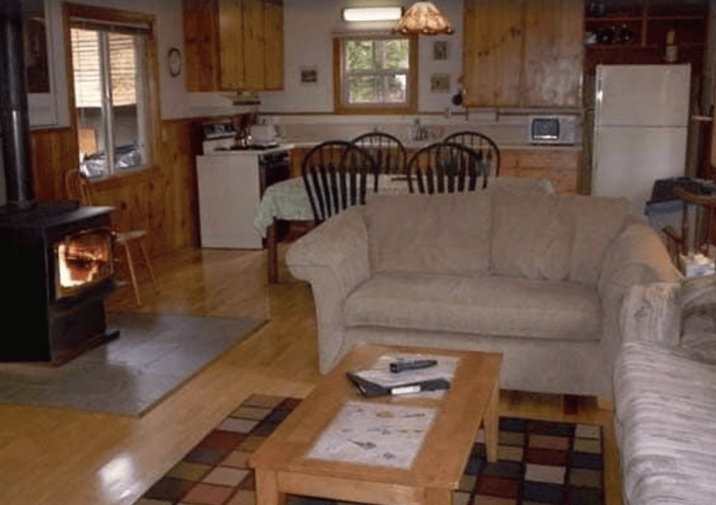 living area with wood stove and couches
