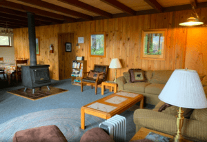 living room with wood stove and couches