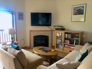 living room with television, fireplace, and couches