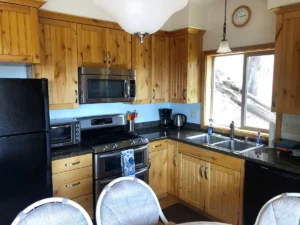 kitchen with wood cabinets