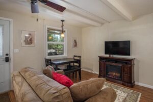 living area with television and electric fireplace and couch