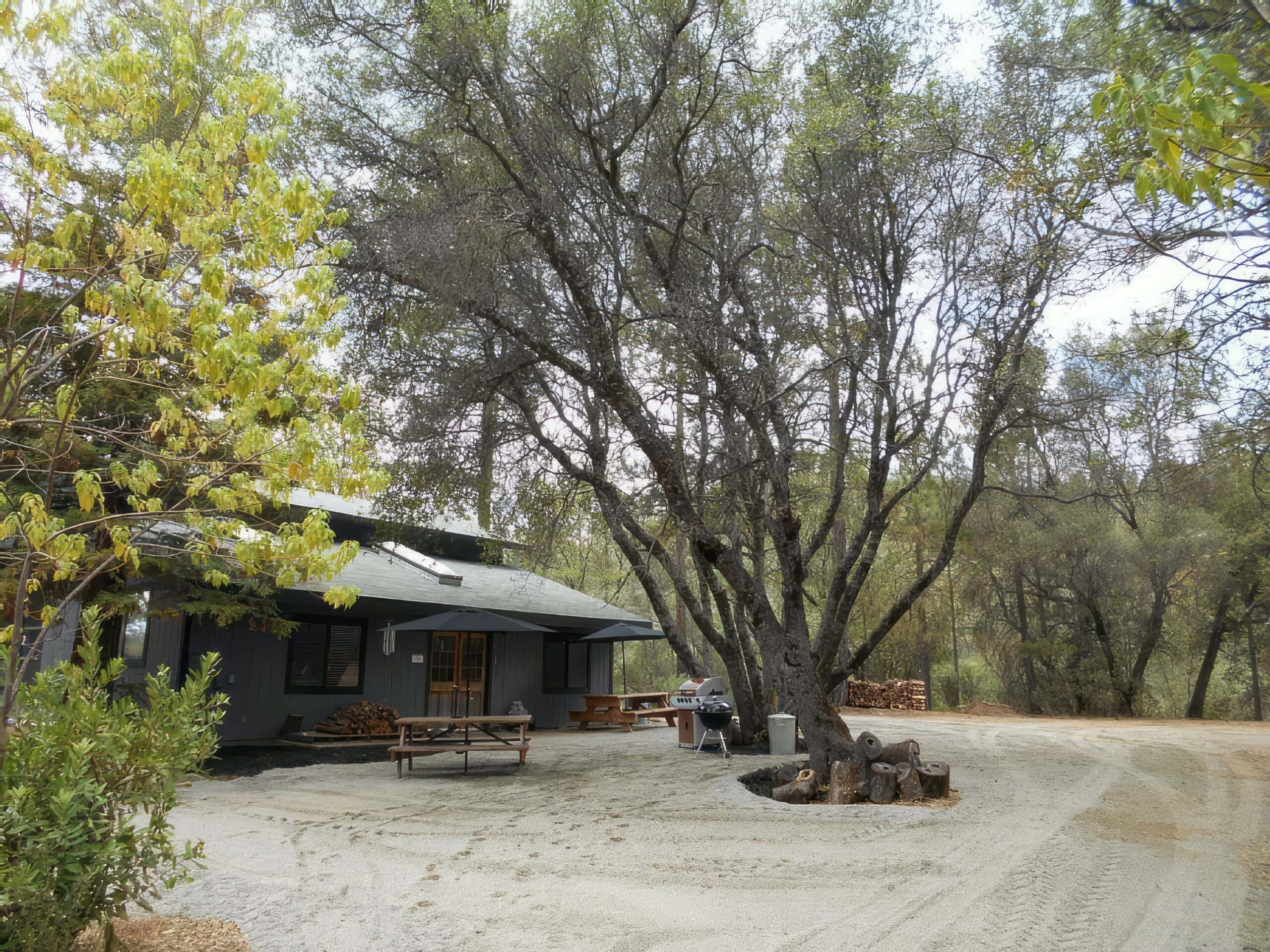 Live Oak Lodge Discover Yosemite National Park