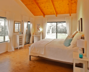 bedroom with king bed and high ceilings