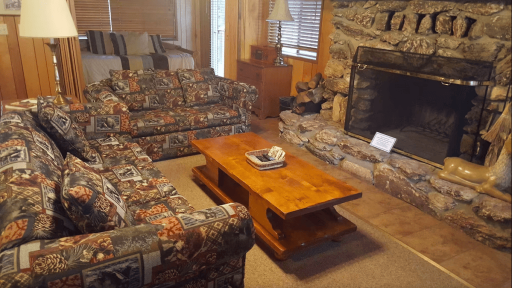 living room with couches and stone fireplace