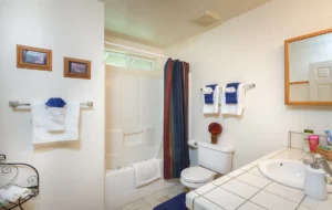 primary bathroom with spa tub