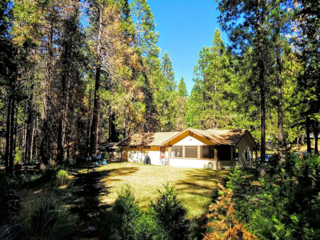 forest surrounding the house