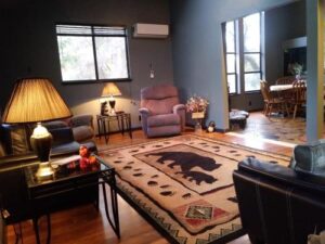 living room with couches and television