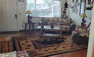 living room with bear patterned rug and couch
