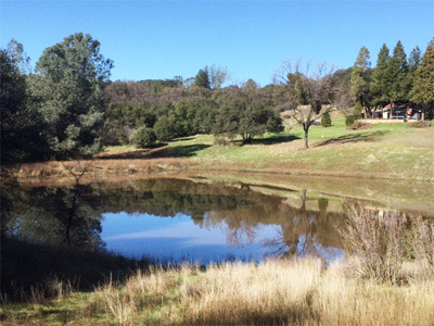 pond downhill form house