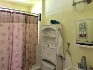 bathroom with shower and tub