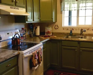 kitchen with green cabinets