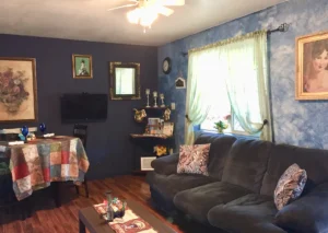 living room with couches and television