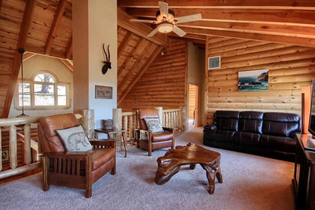 loft with seating and television