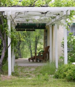 garden view