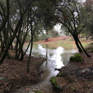 creek on property