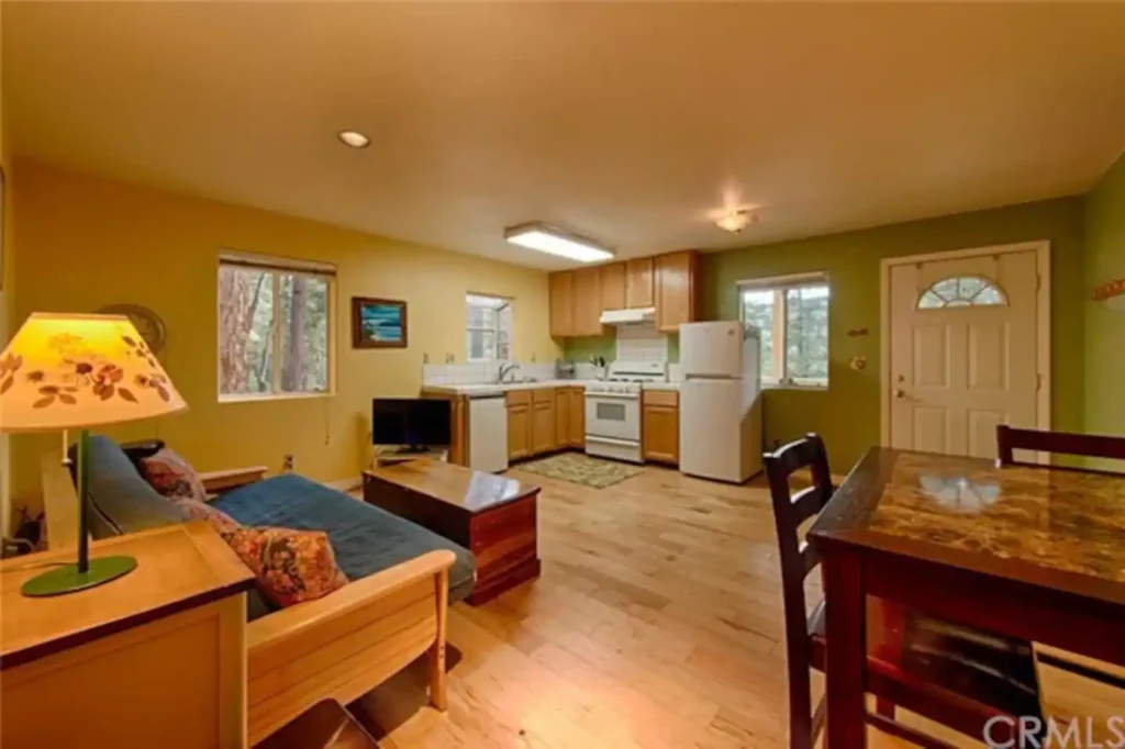 living room area with couches and television