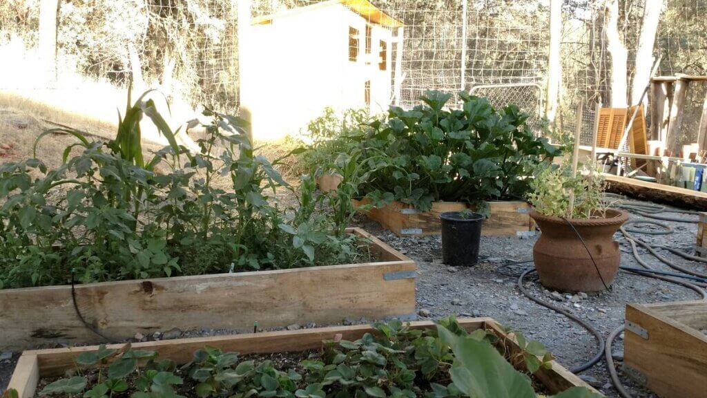 garden beds