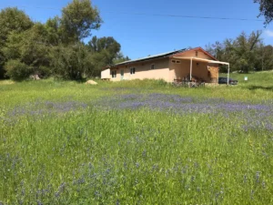 view of home with field and flowers