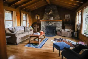 living room with seating and stone fireplace