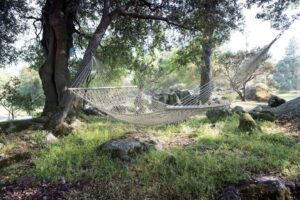 hammock