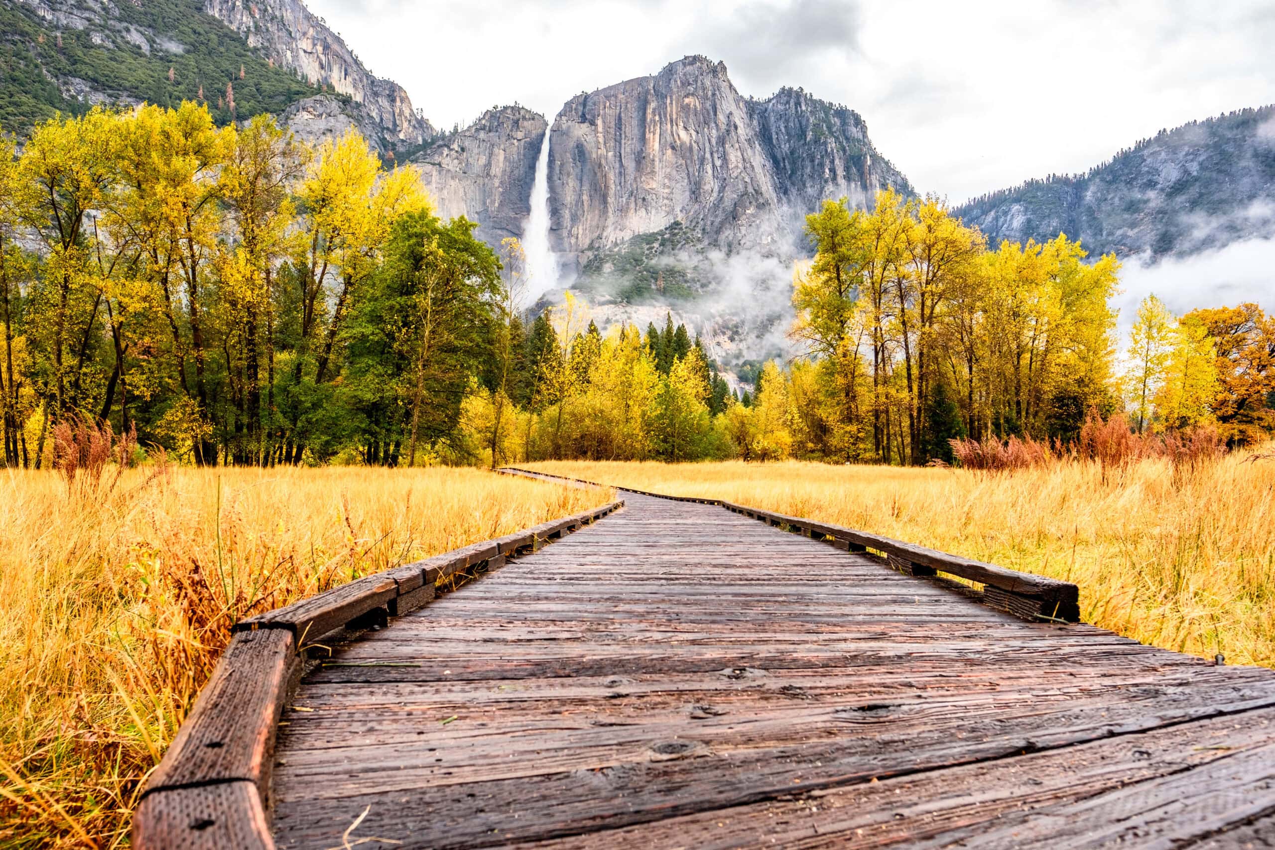 Fall’s Last Call: How to Enjoy Yosemite’s Autumn Moments