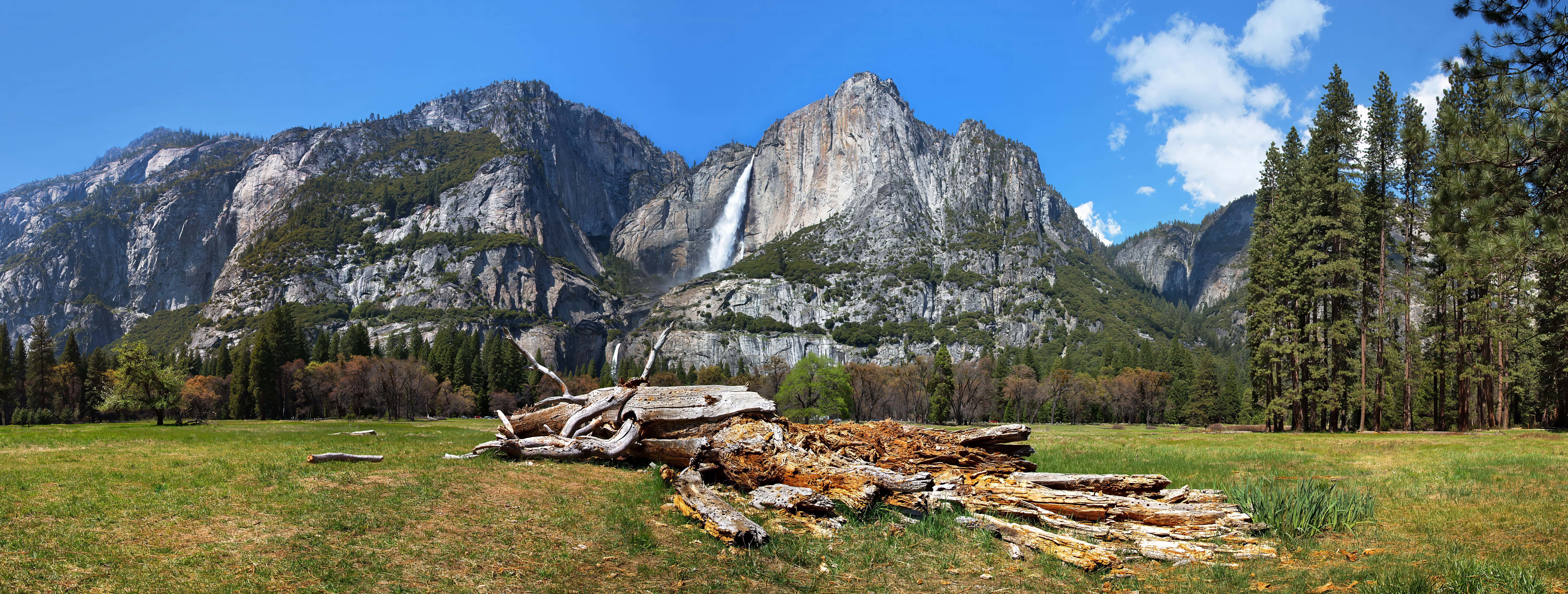 5 Tips to Get the Most from Your Visit to Yosemite this Summer
