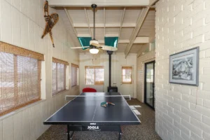 game room with ping pong table
