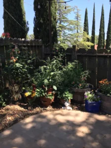 backyard garden with patio