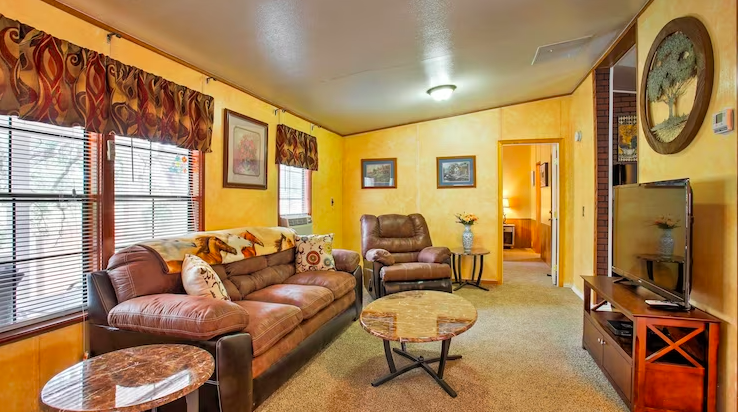 living room with couches and television