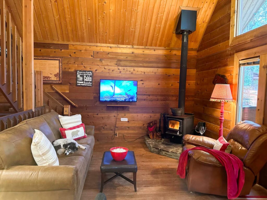 living room with wood stove and television