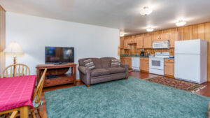 apartment living area and kitchenette