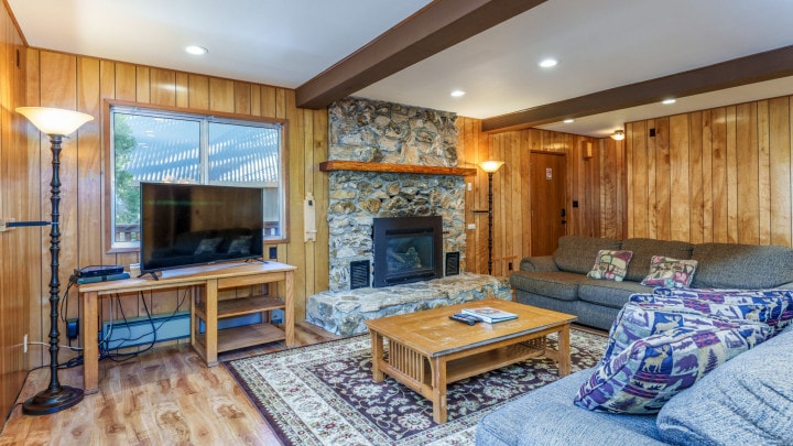 living room with stone fireplace and television