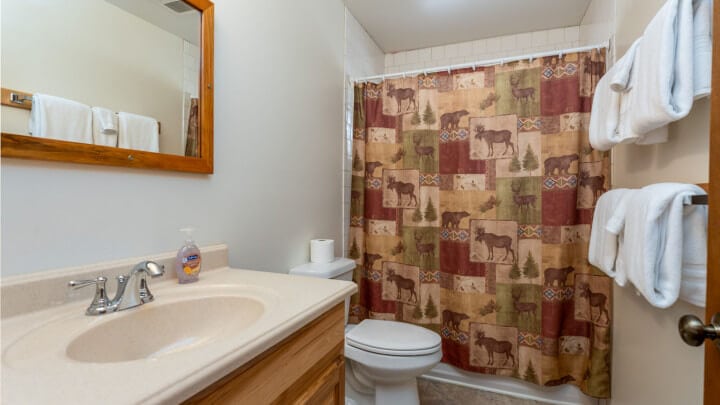 bathroom with printed shower curtain