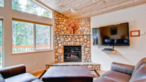 living room view of television and stone fireplace