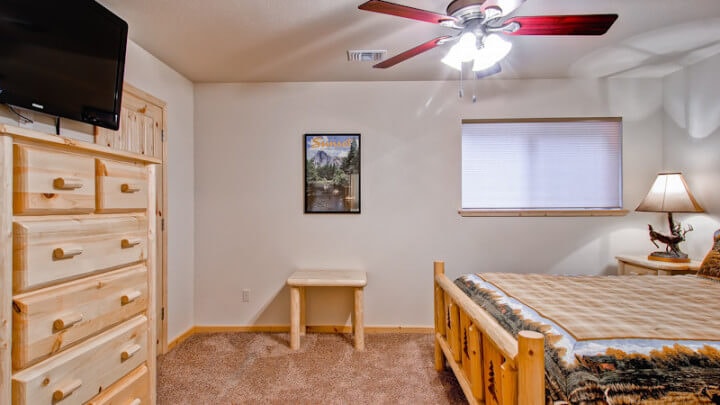 bedroom with queen bed and television