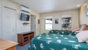 bedroom with two beds and television