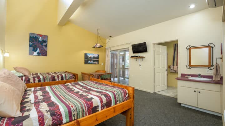 bedroom with television and two beds