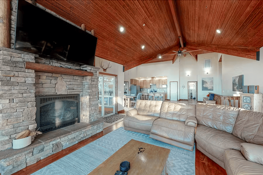 living room with fireplace and television, couches