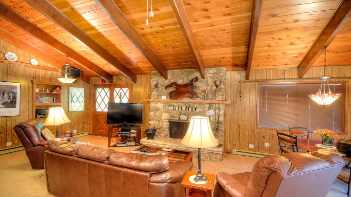 living room with stone fireplace and leather couches