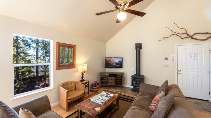 living area with wood stove and television and couches
