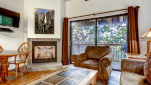 living area with fireplace