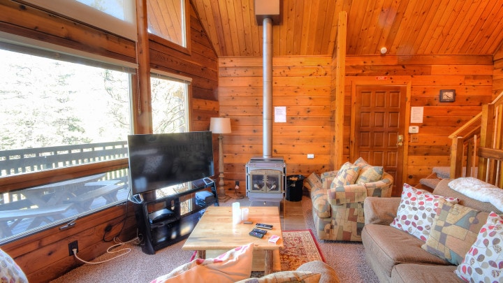 living room television and wood stove