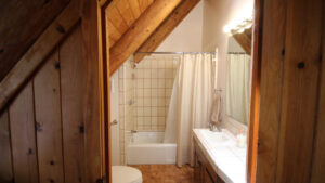 bathroom with shower tub